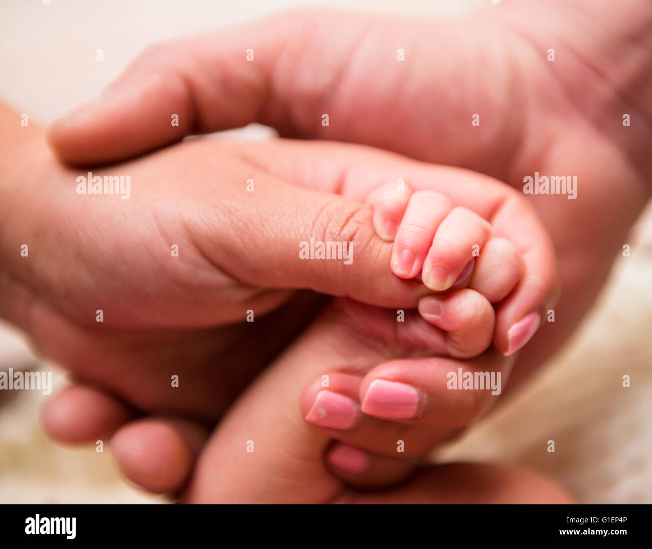 Mother, Father and Baby's Hands Stock Photo Alamy