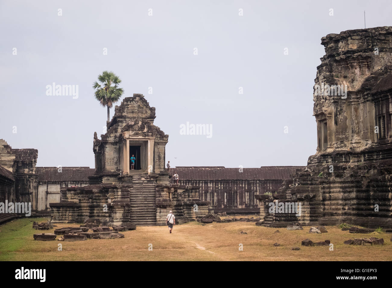 Detailed stone carvings in Angkor Wat, Cambodia Stock Photo