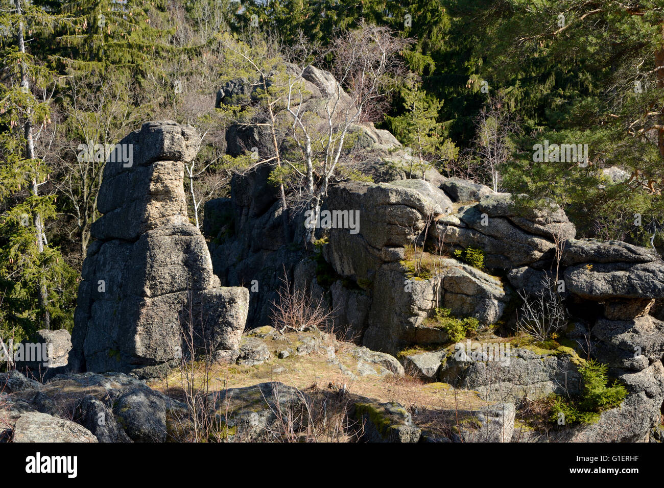 Rocks and trees in Karkonosze mountains in Poland Stock Photo