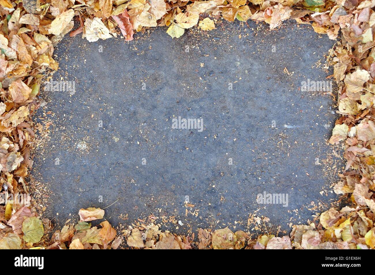 Empty gray space framed by fallen brown autumn leaves. Space in center Stock Photo