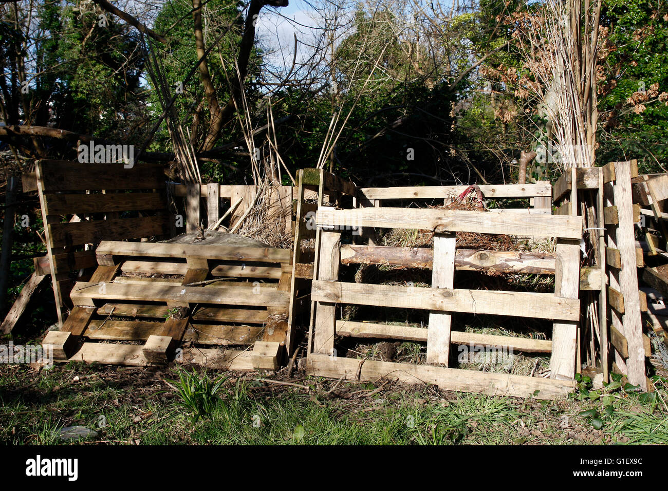 Compost bins made from old pallets in an allotment Stock Photo Alamy