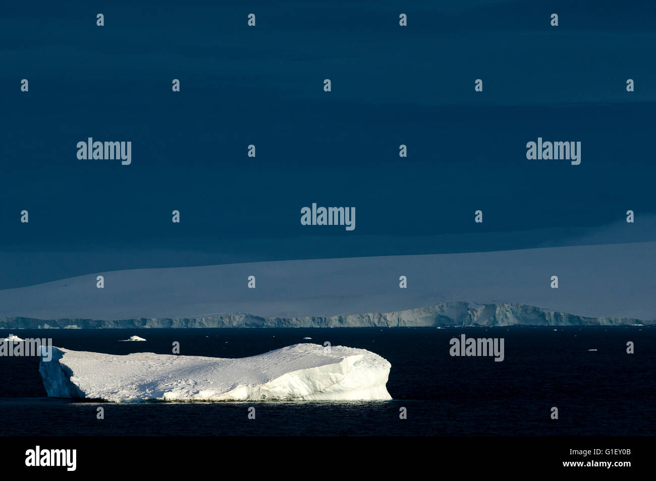 Floating ice Antarctic Sound at dawn Antarctic Peninsula Antarctica Stock Photo