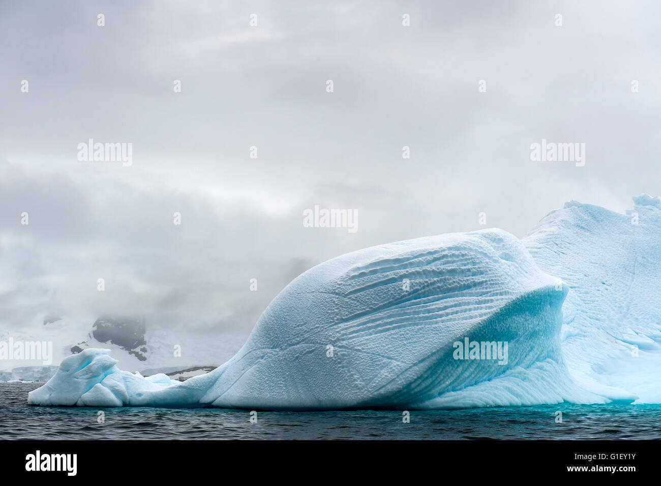 Floating blue ice and moody sky Cierva Cove Antarctic Peninsula Antarctica Stock Photo