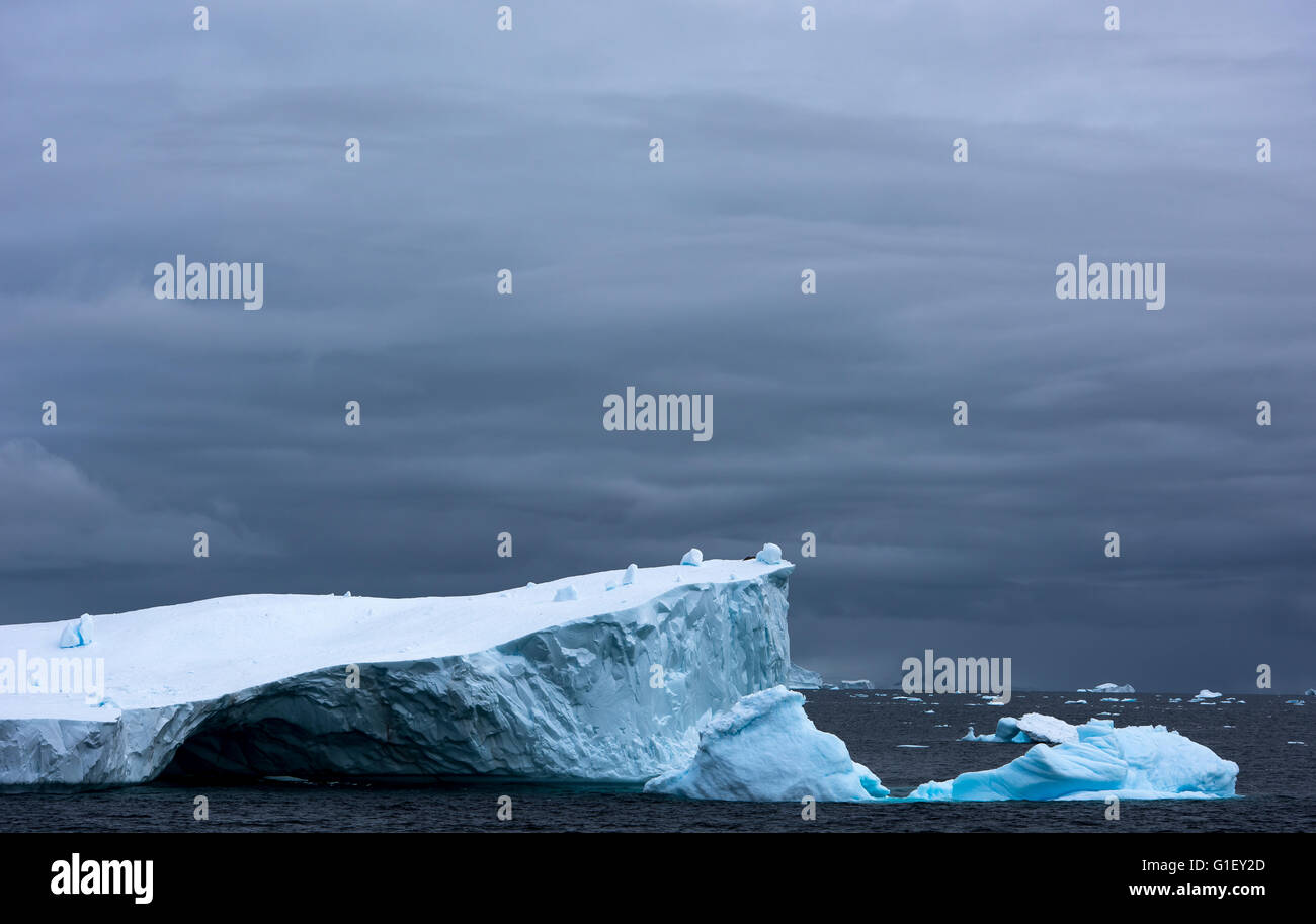 Blue floating ice and moody sky Portal Point Antarctic Peninsula Antarctica Stock Photo