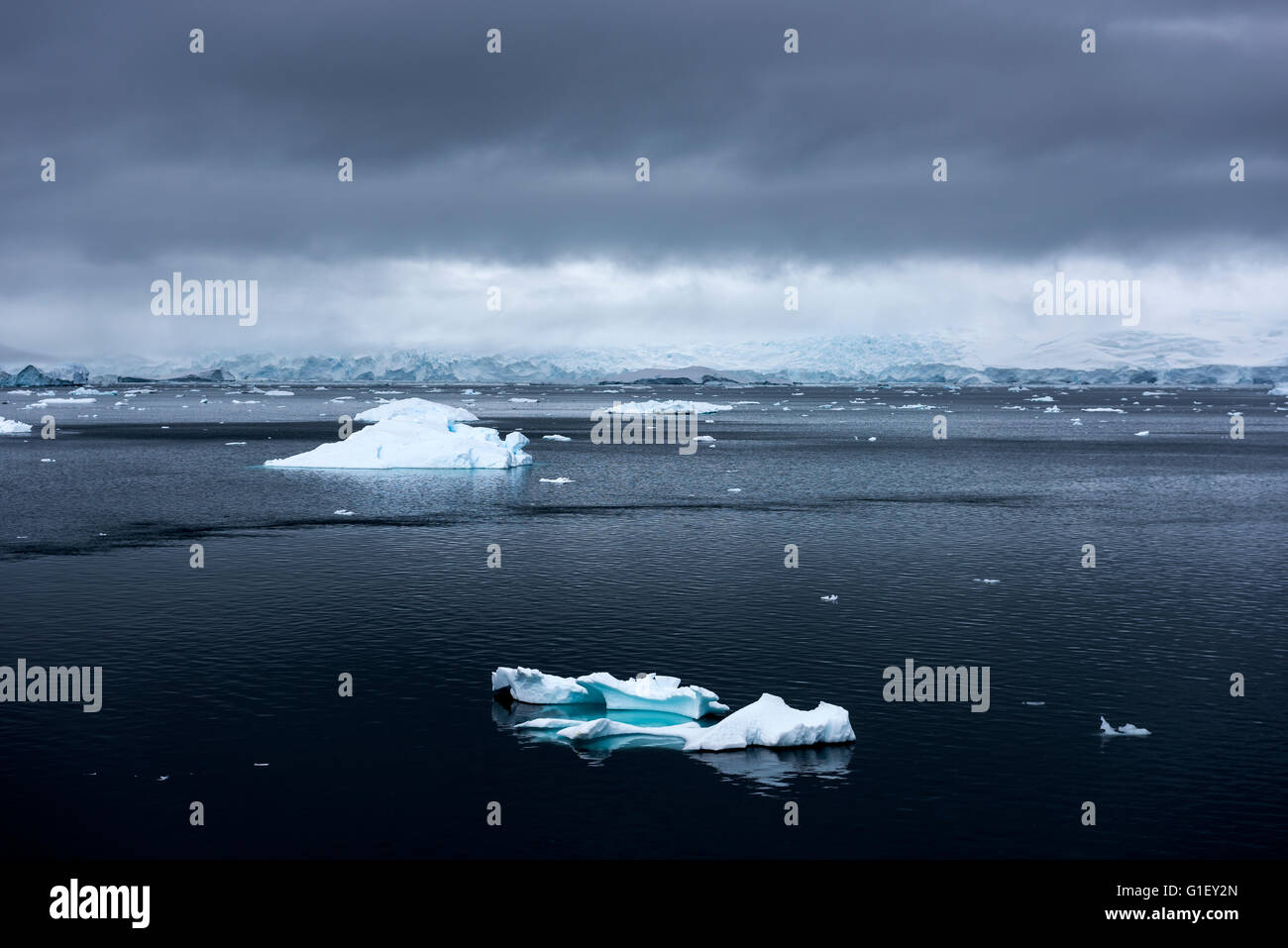 Floating ice mountains and coastline Neko Harbour Antarctic Peninsula Antarctica Stock Photo