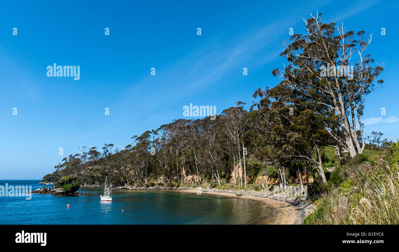 Coastline and boat at Ulva island (Stewart island) New Zealand Stock Photo