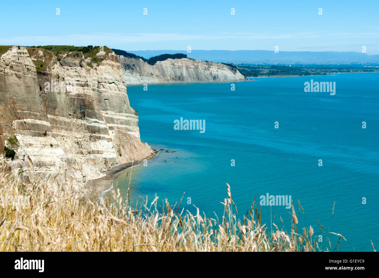 Cliffs and coastline Cape Kidnappers New Zealand Stock Photo