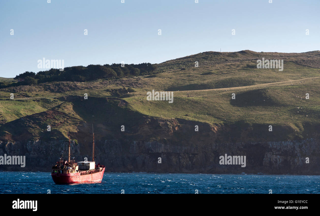 Boat by Pitt Island coastline New Zealand Stock Photo