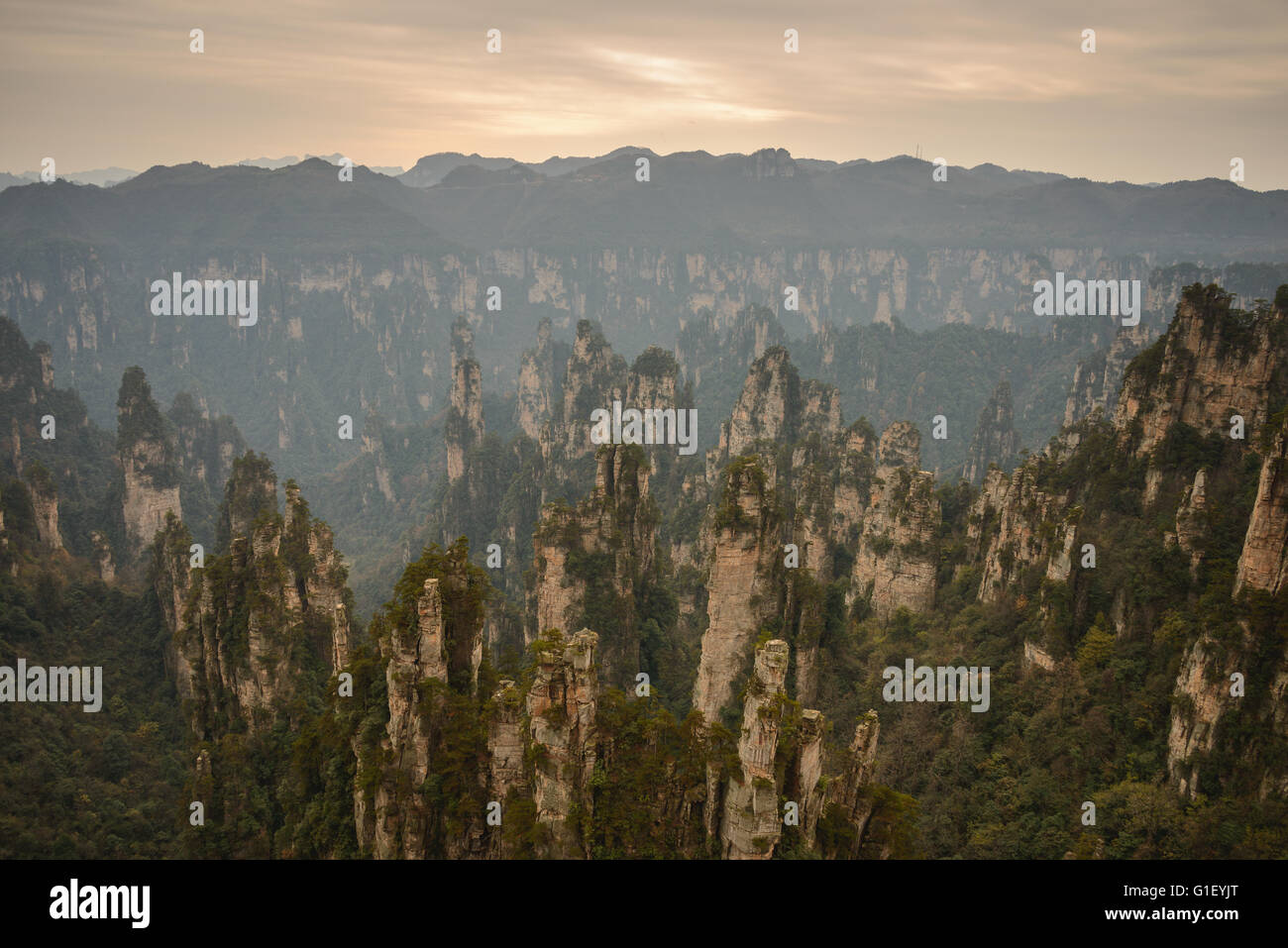 Thin cliffs in the Tianzishan scenic area of Zhangjiajie in China Stock Photo