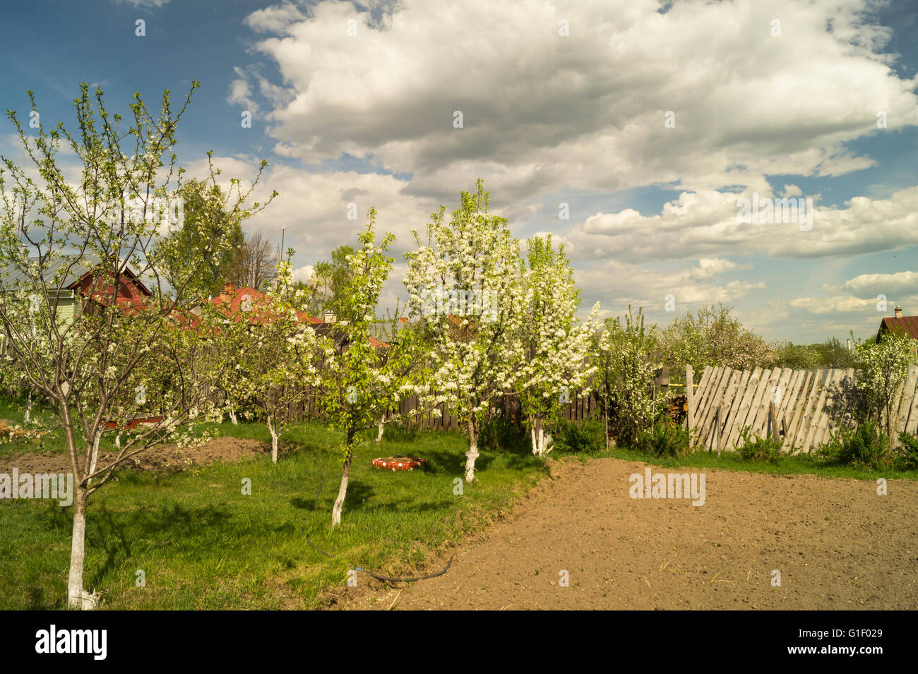 Spring landscape with beautiful sky and flowering garden in rural terrain Stock Photo