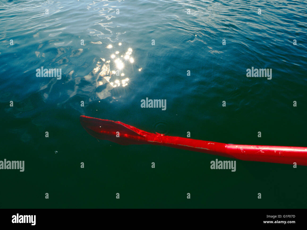 Boat oar dipping into Belaya River; Siberia; Chukchi Peninsula; Magadan Region; Russian Federation Stock Photo