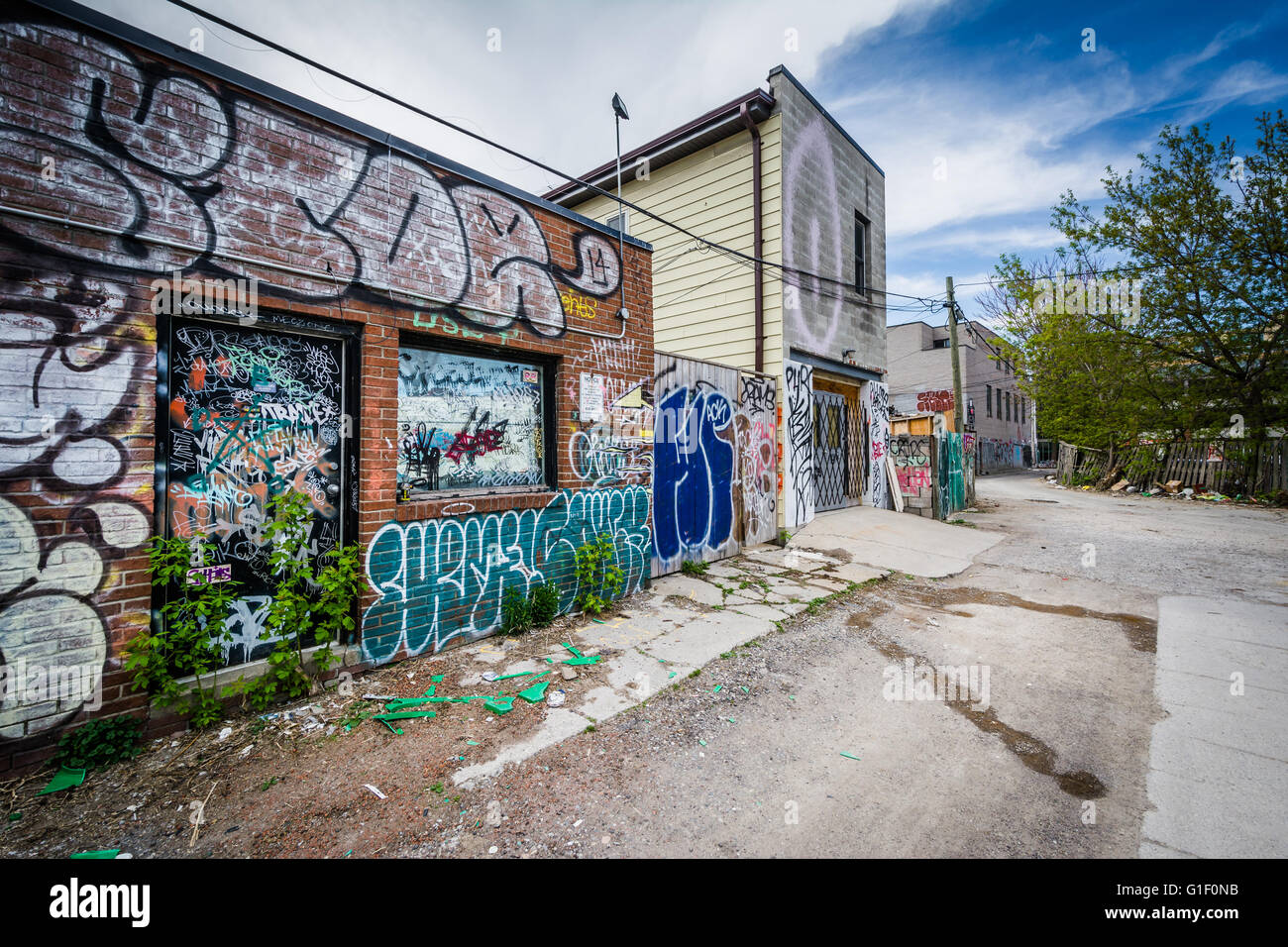 Graffiti in an alley in the Kensington Market neighborhood of Toronto