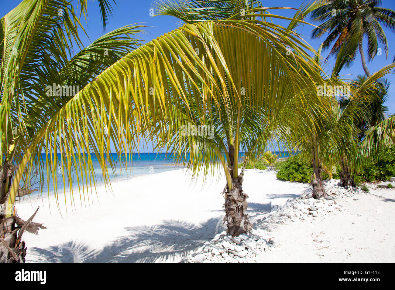 Pleasant morning on Seven Mile beach (Grand Cayman, Cayman Islands). Stock Photo