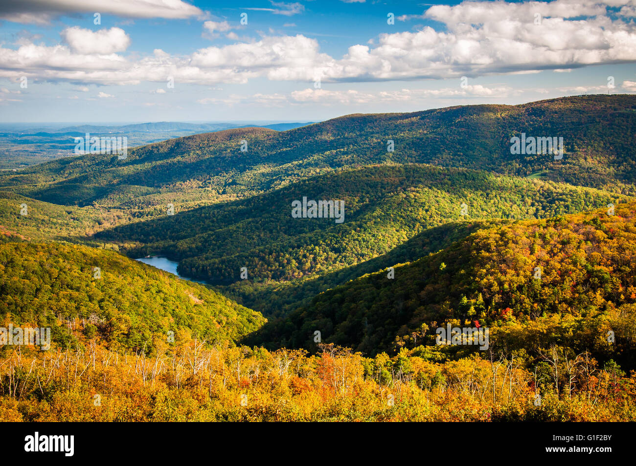 Early autumn view of the Appalachians from Moormans River Overlook, Shenandoah National Park, Virginia. Stock Photo