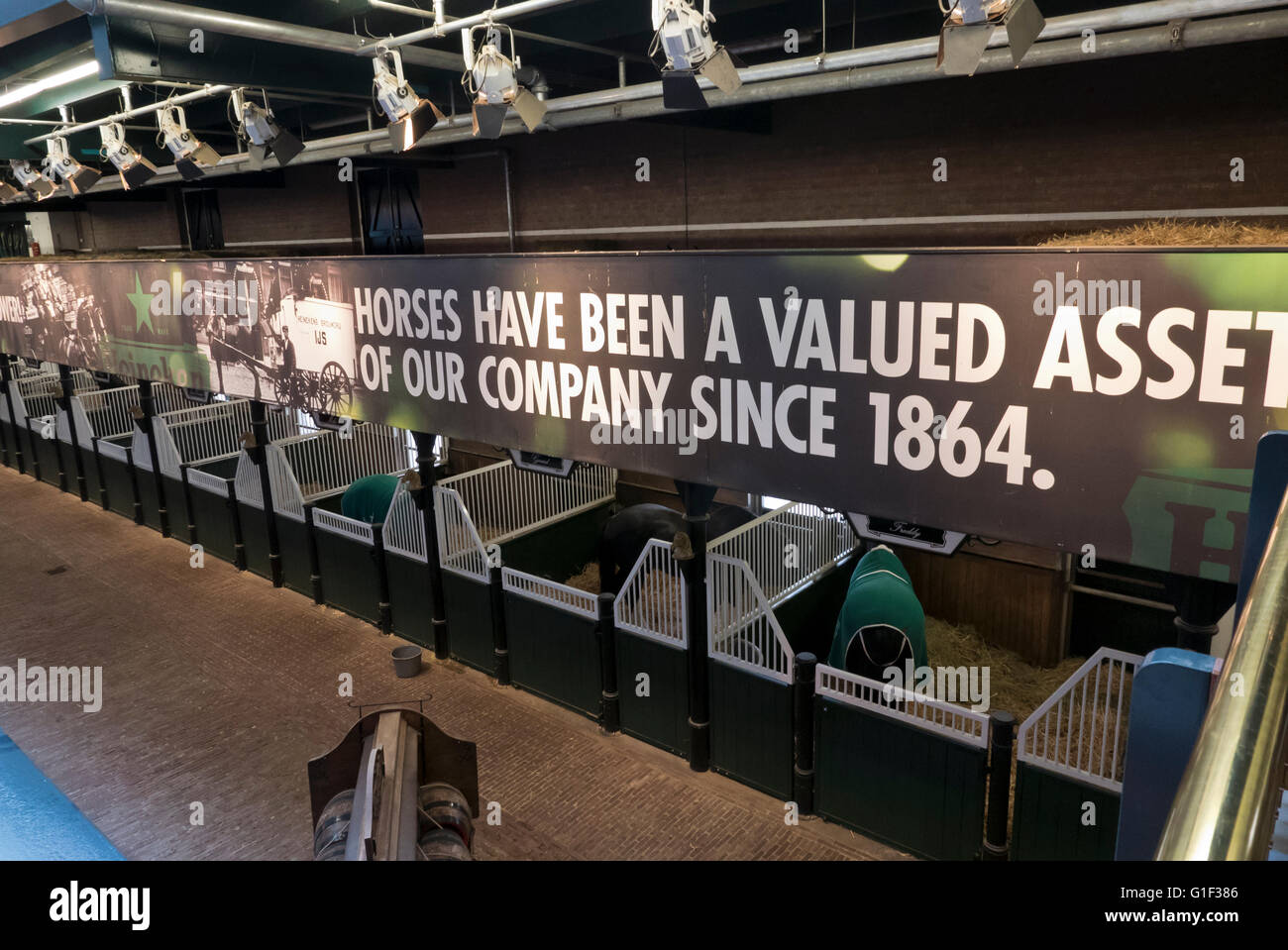 Stables at the Heineken Museum in Amsterdam, Holland, Netherlands. Stock Photo