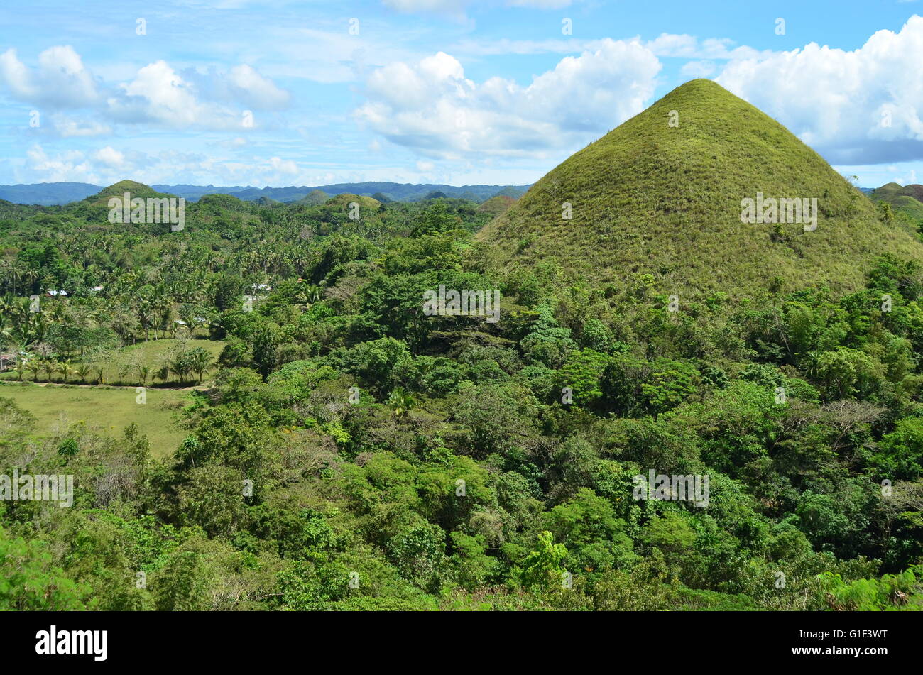 Chocolate hills in Bohol, Philippines Stock Photo Alamy