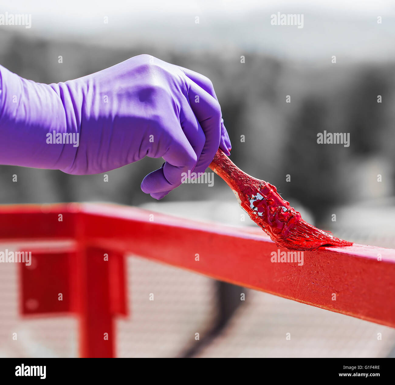 Hand wearing purple gloves and painting with a paint brush Stock Photo