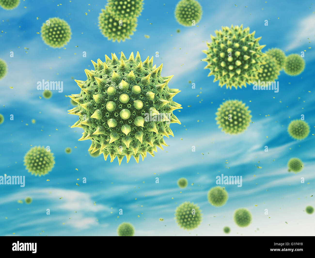 Airborne pollen grain , Hay fever , Pollen allergy Stock Photo