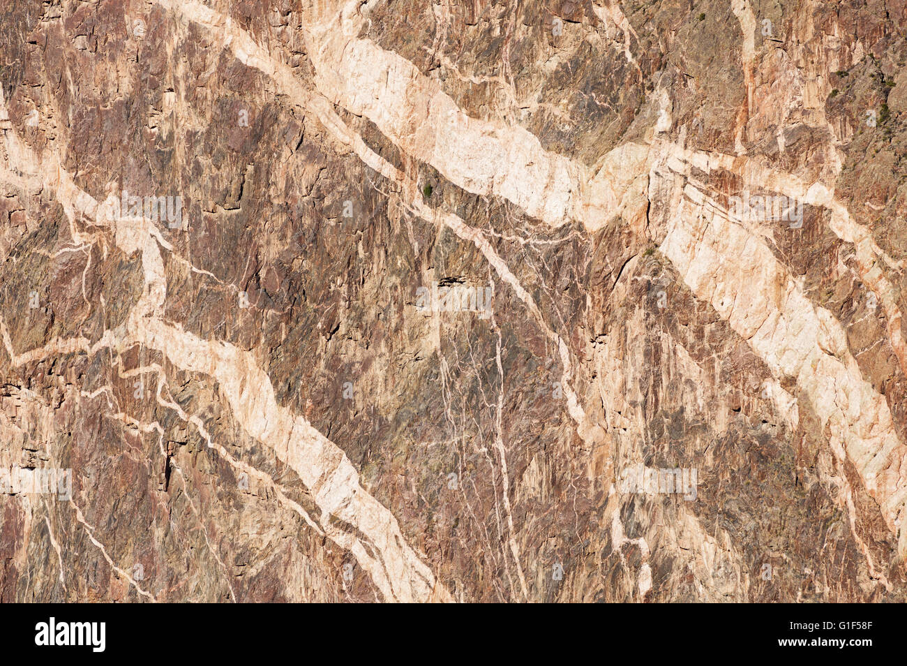 background detail of the painted wall rock cliff at the Black Canyon of the Gunnison Stock Photo