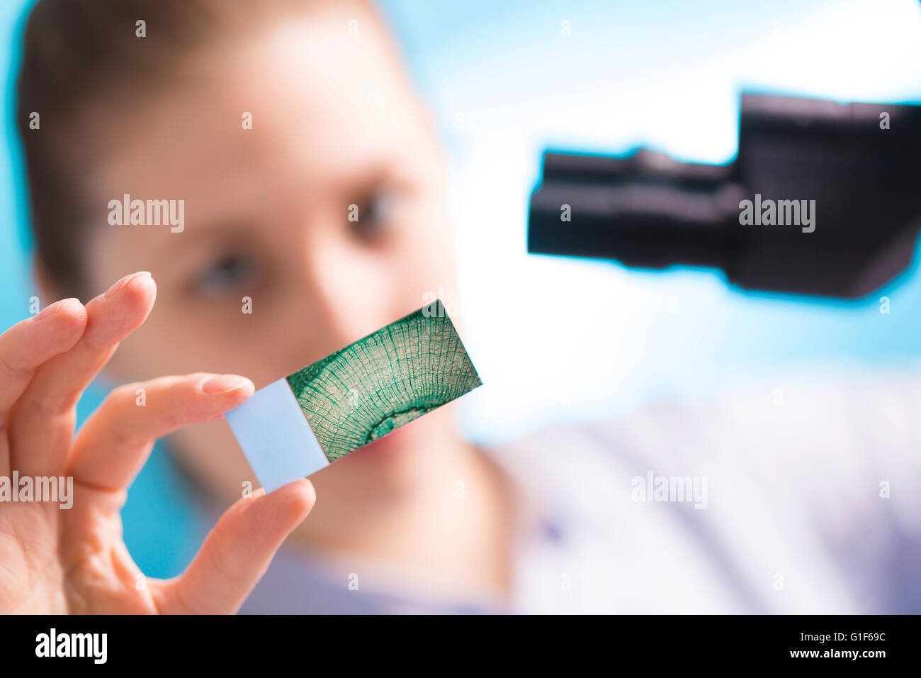 MODEL RELEASED. Female lab technician holding microscope slide Stock ...