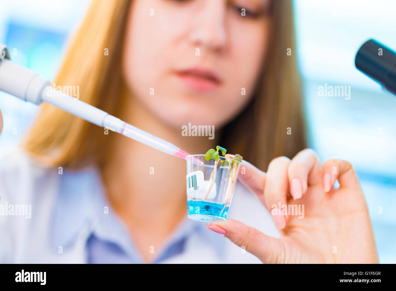 MODEL RELEASED. Female biologist using pipette with seedling. Stock Photo