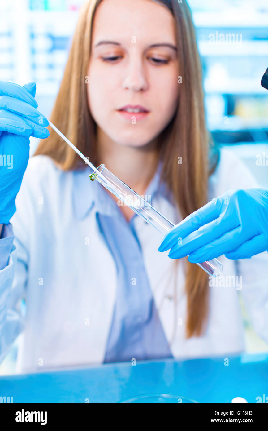 MODEL RELEASED. Female biologist testing plants in the laboratory Stock