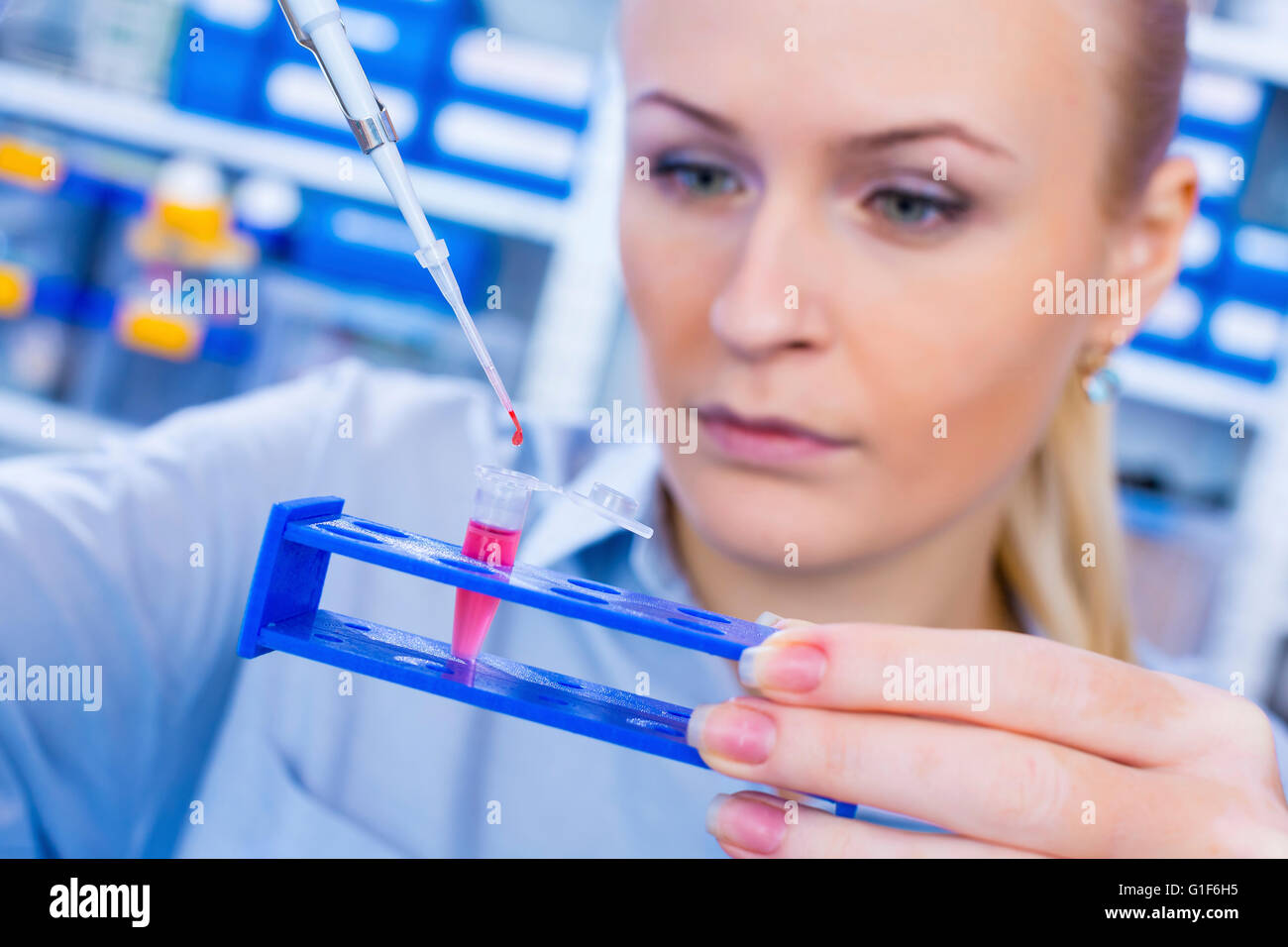 MODEL RELEASED. Female scientist using pipette with an eppendorf tube