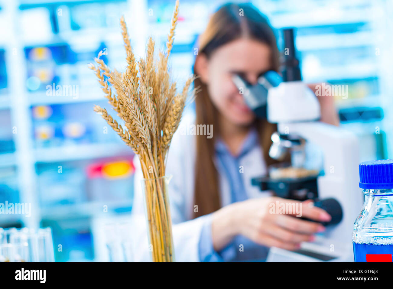 MODEL RELEASED. Female nutritionist using microscope in the laboratory. Stock Photo