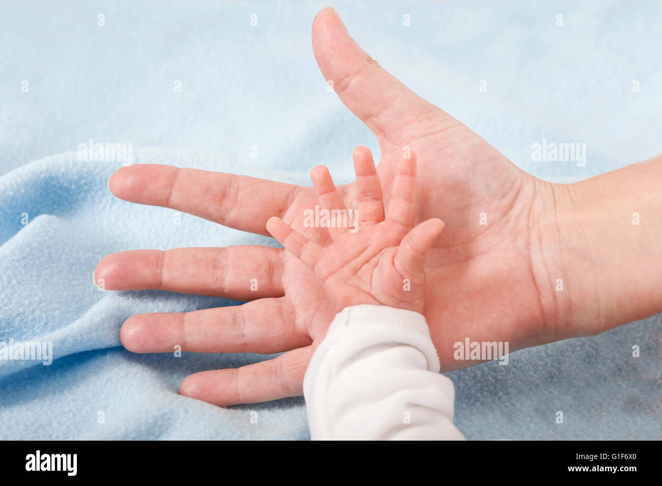 MODEL RELEASED. Parent holding newborn baby's hand. Stock Photo