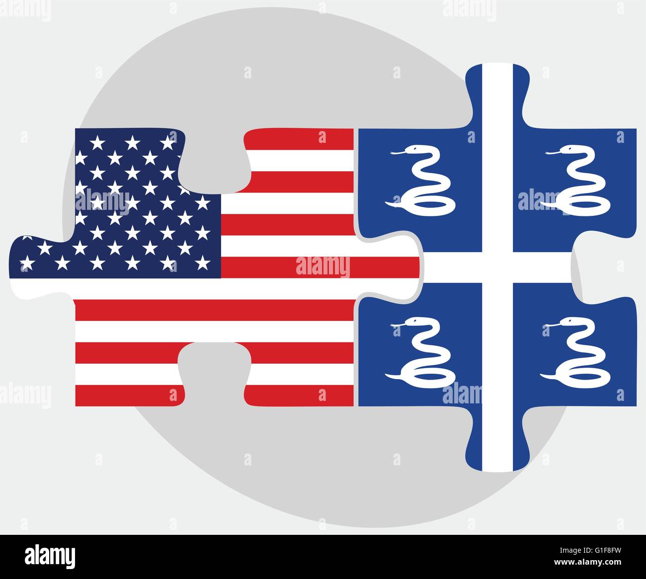 Vector Image USA and Martinique Flags in puzzle isolated on white