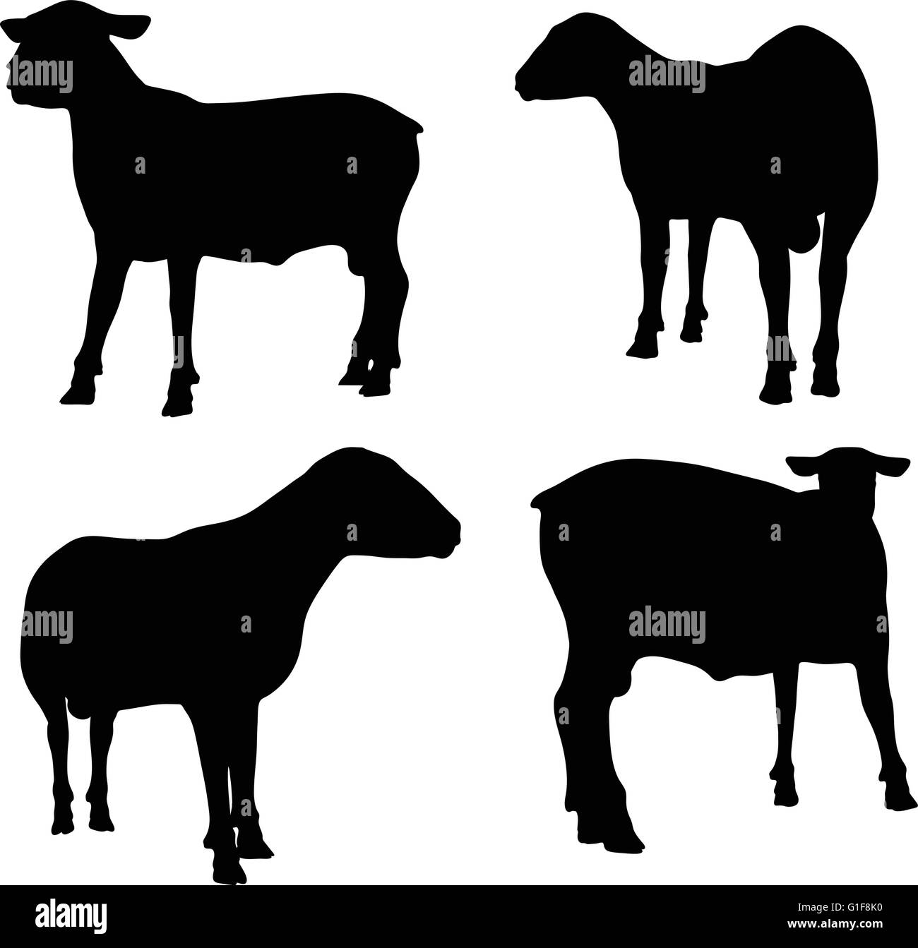 Vector Image - sheep silhouette with standing still pose isolated on white background Stock Vector