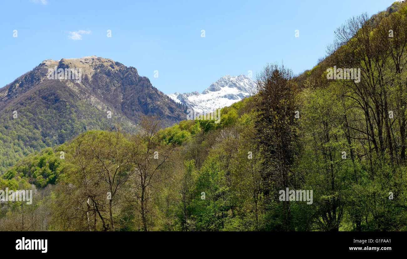 Ariege national park hi-res stock photography and images - Alamy