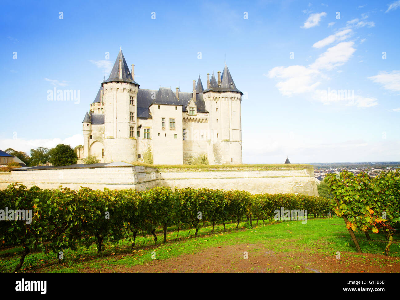 Loire valley chateau with vineyards hi-res stock photography and images ...