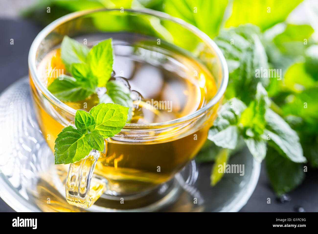 Tea. Mint Tea. Herbal tea. Mint leaf. Mint leaves. Tea in a glass cup