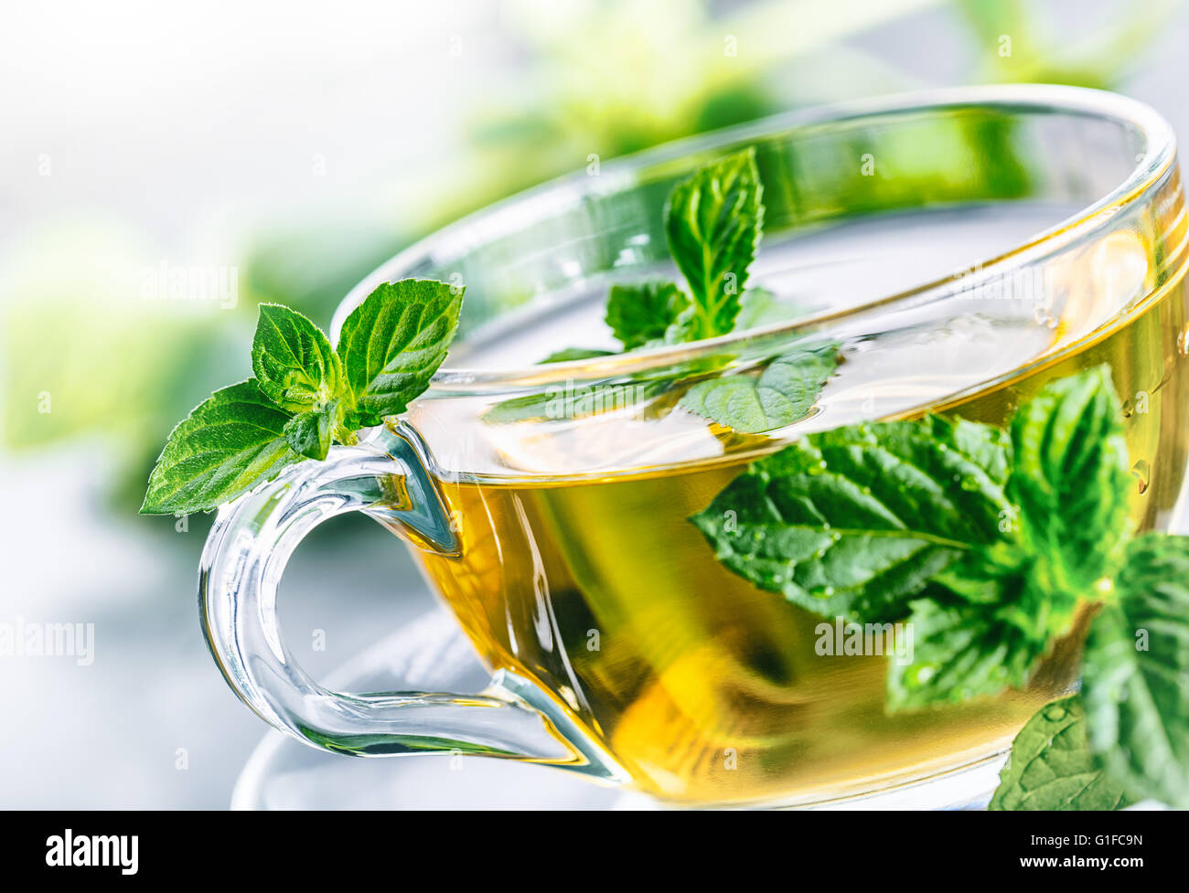 Tea. Mint Tea. Herbal tea. Mint leaf. Mint leaves. Tea in a glass cup