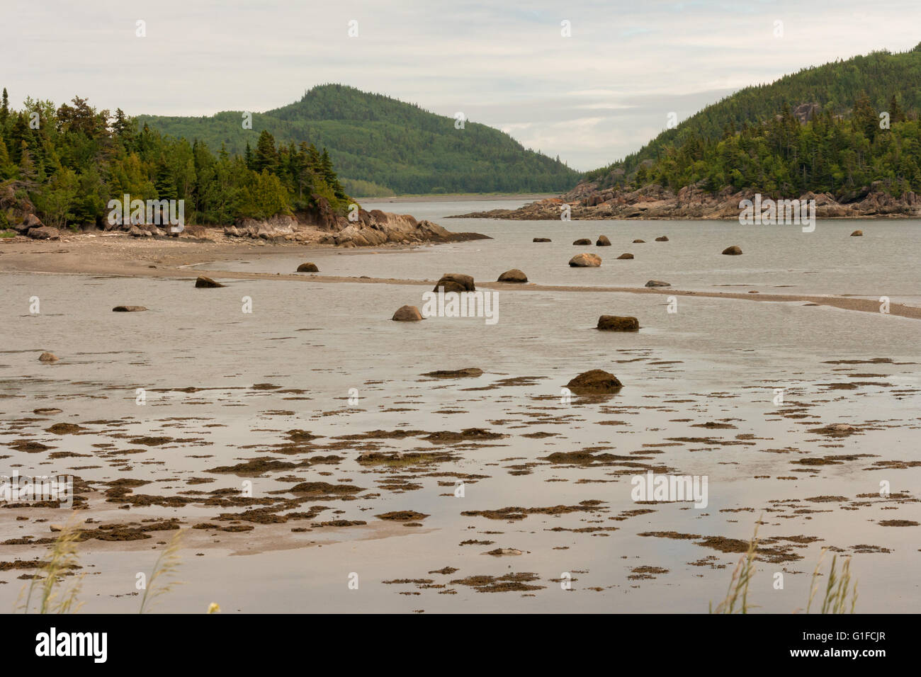 Outgoing tide of the St. Lawrence river Stock Photo Alamy