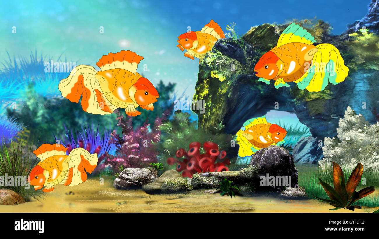 Goldfish in a Fish tank Stock Photo Alamy