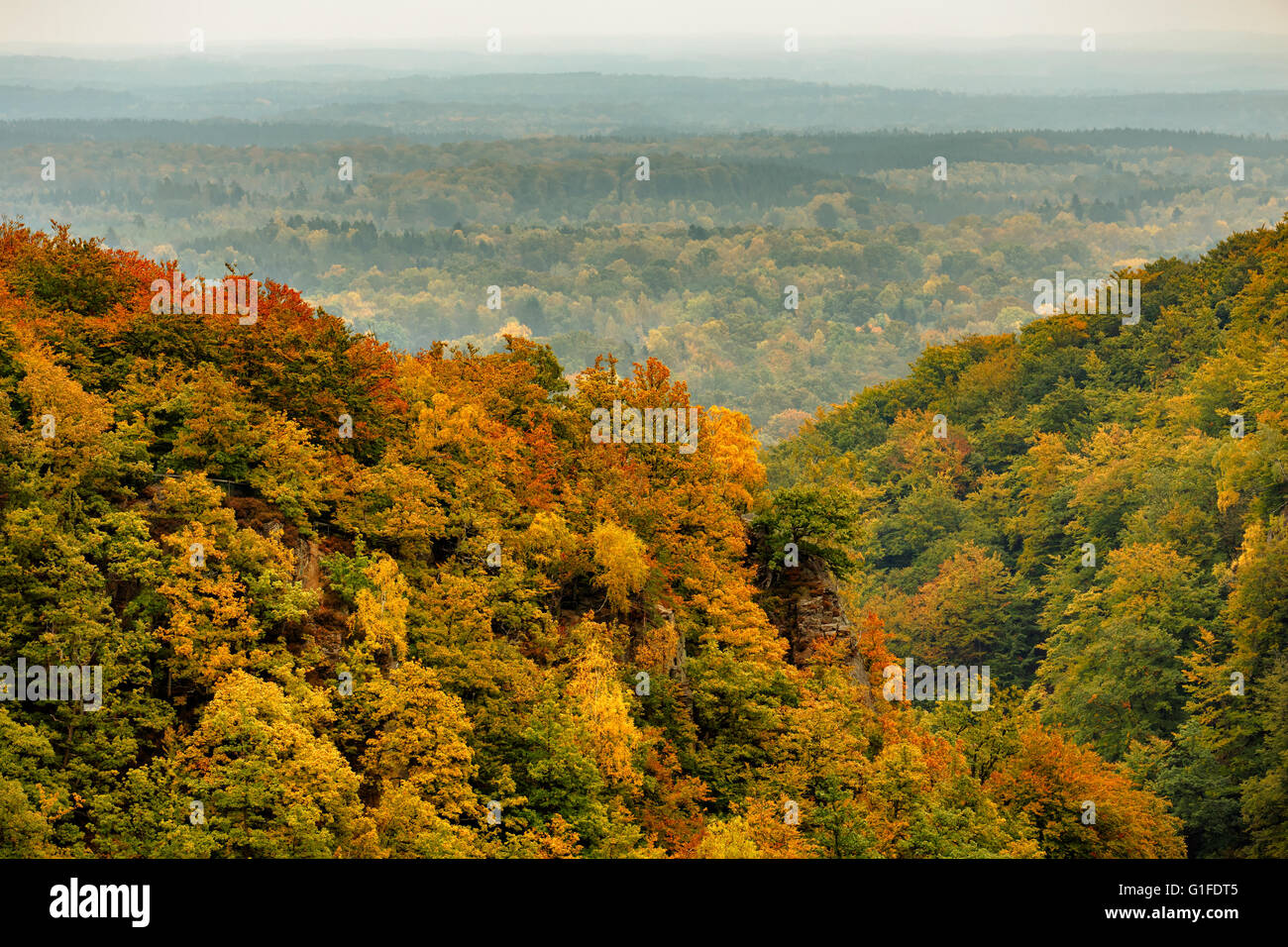Soderasen national park hi-res stock photography and images - Alamy