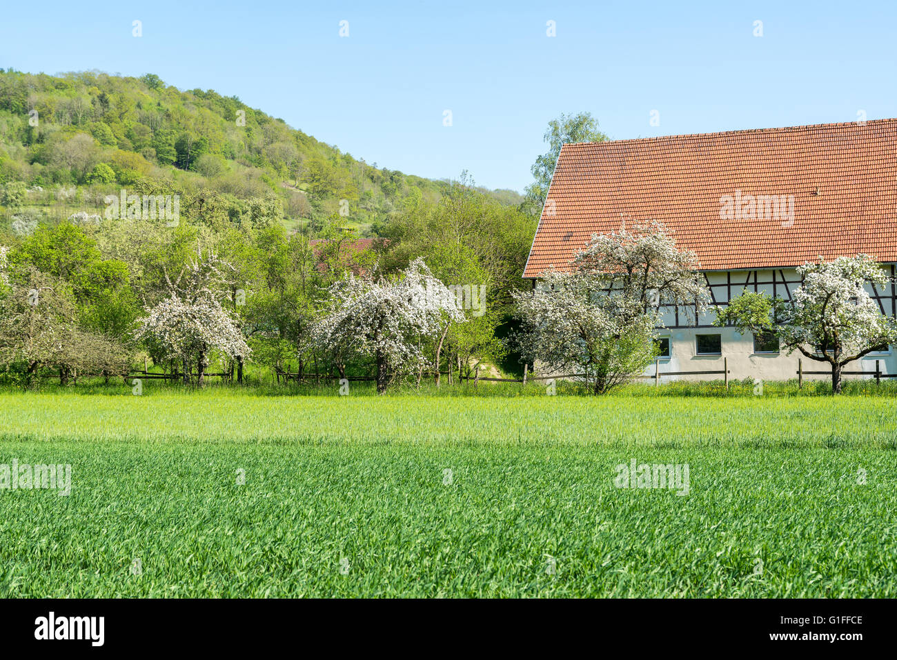 idyllic village in Hohenlohe at spring time named Baechlingen Stock Photo