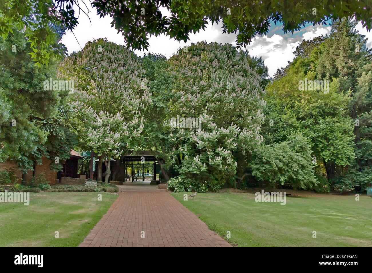 Johannesburg Botanical Garden in Emmarentia park Entrance, South