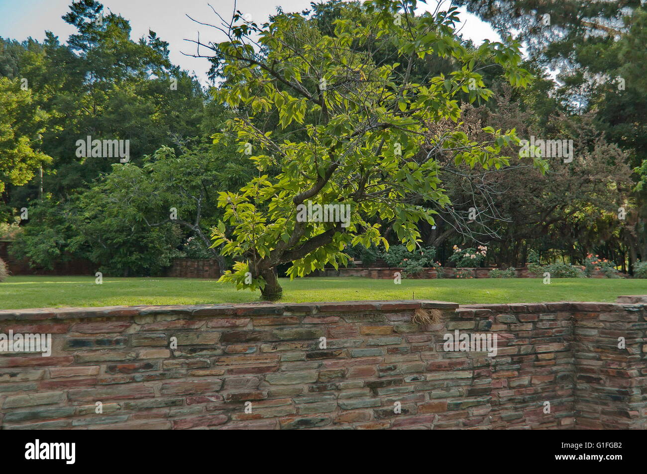 Johannesburg botanical garden hires stock photography and images Alamy