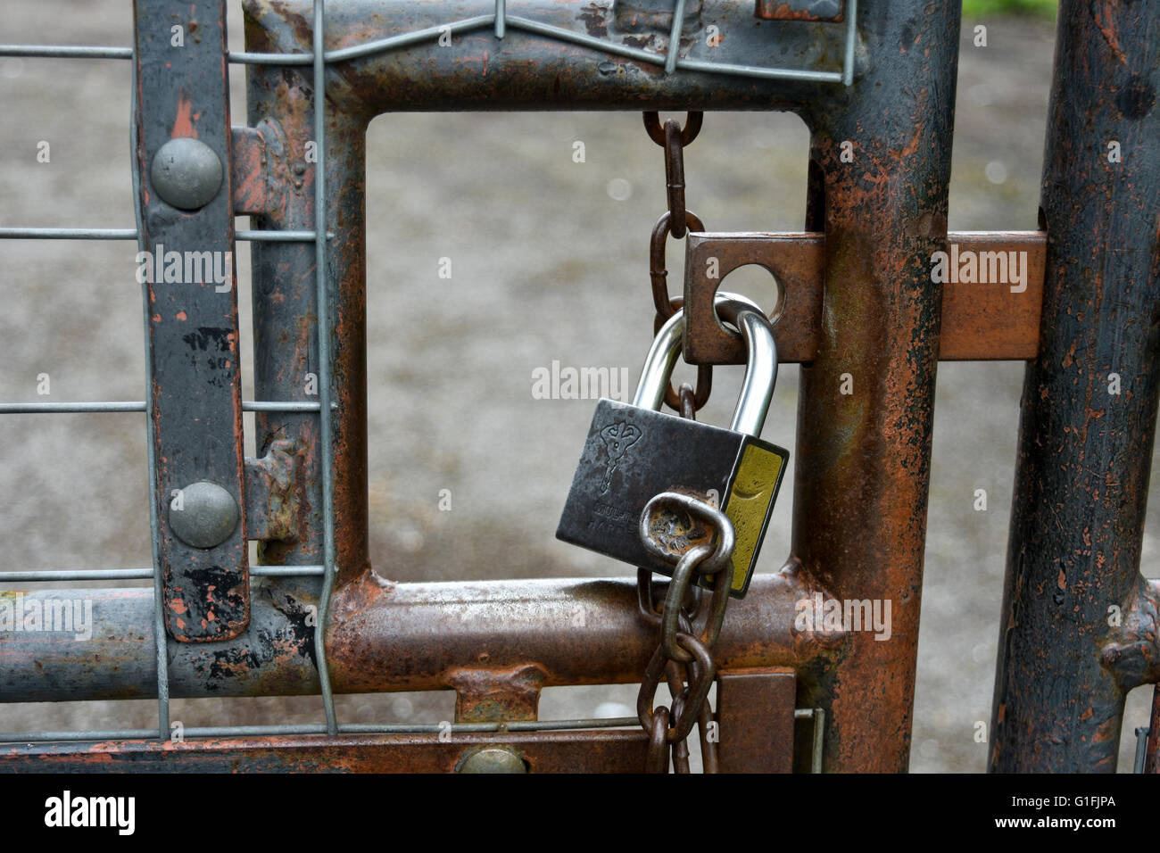 Close view of padlock on closed outdoor metal security gates with chain and rust Stock Photo