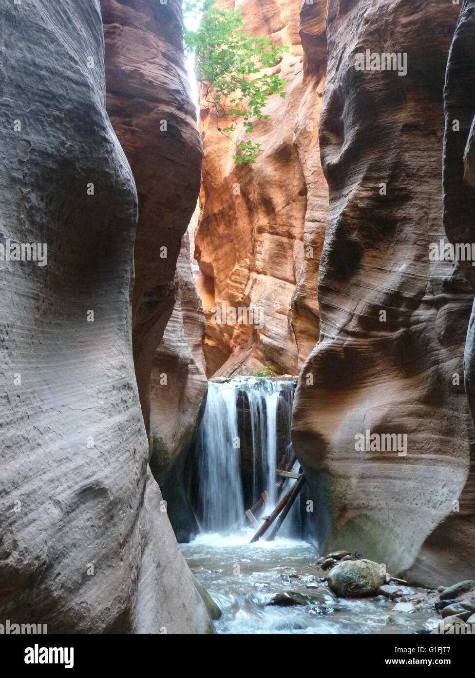 Waterfall and ladder in Kanarra Creek slot canyon near Kanarraville, Utah Stock Photo Alamy