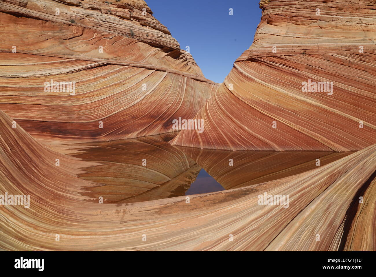 Reflection in pool at beautiful sandstone formation known as The Wave at Coyote Buttes North,Vermillion Cliffs National Monument Stock Photo