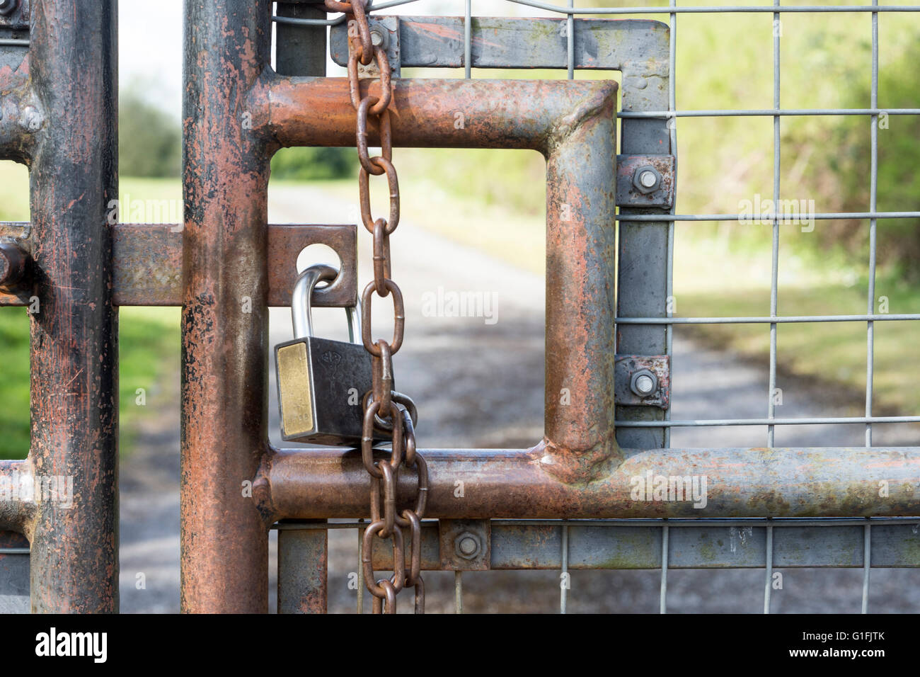 Close view of padlock on closed outdoor metal security gates with chain and rust Stock Photo