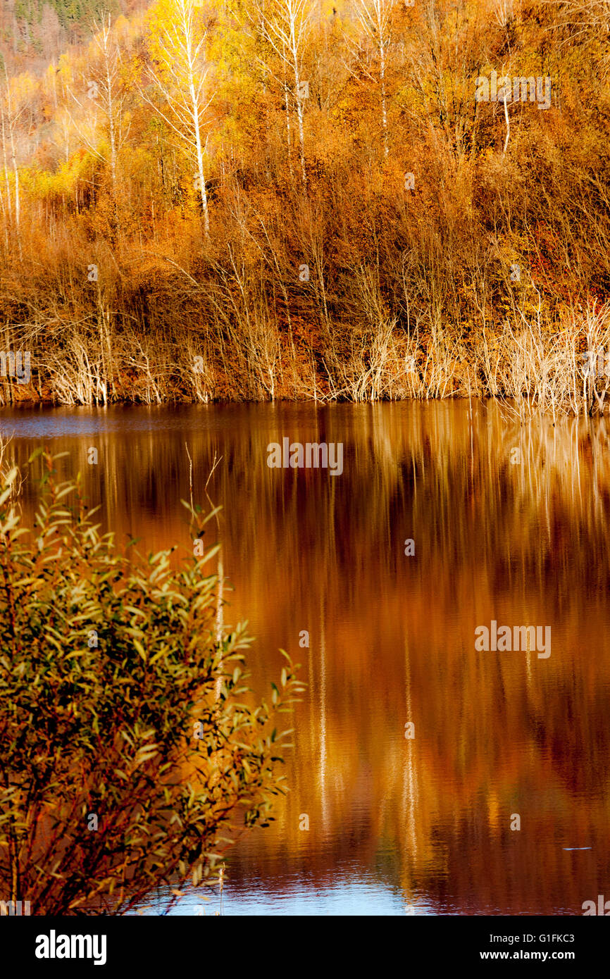 Golden colors and lake reflection hi-res stock photography and images ...