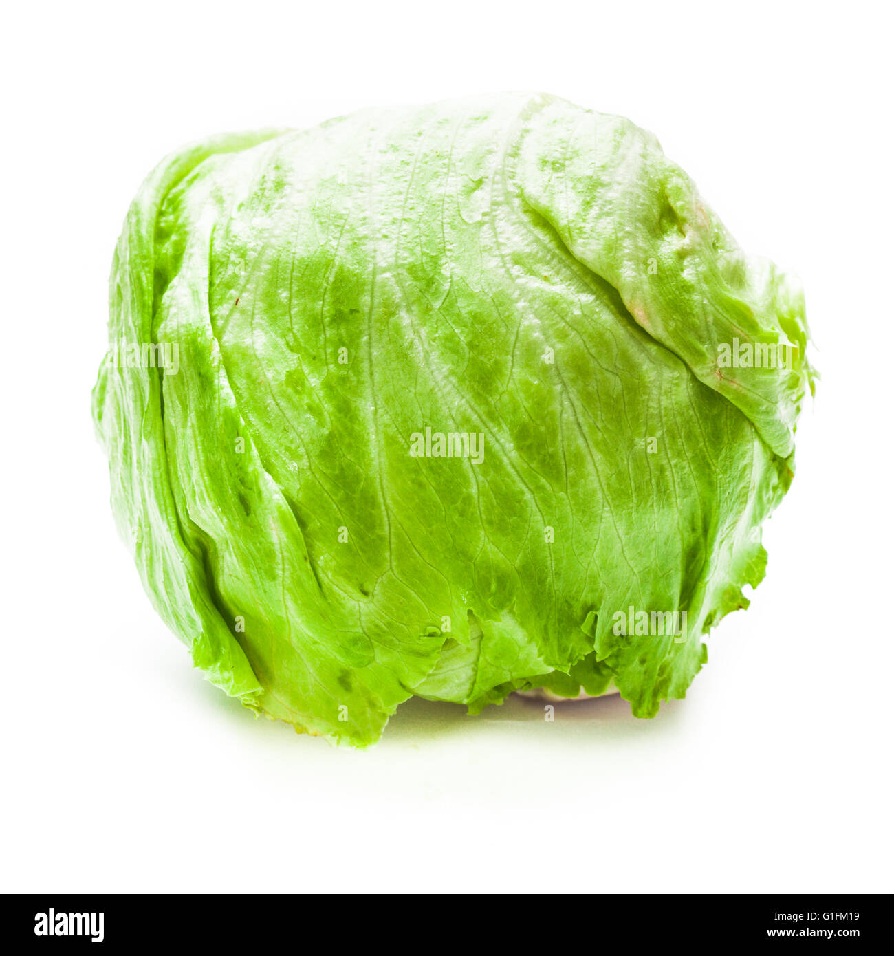 Fresh green Iceberg lettuce Stock Photo - Alamy