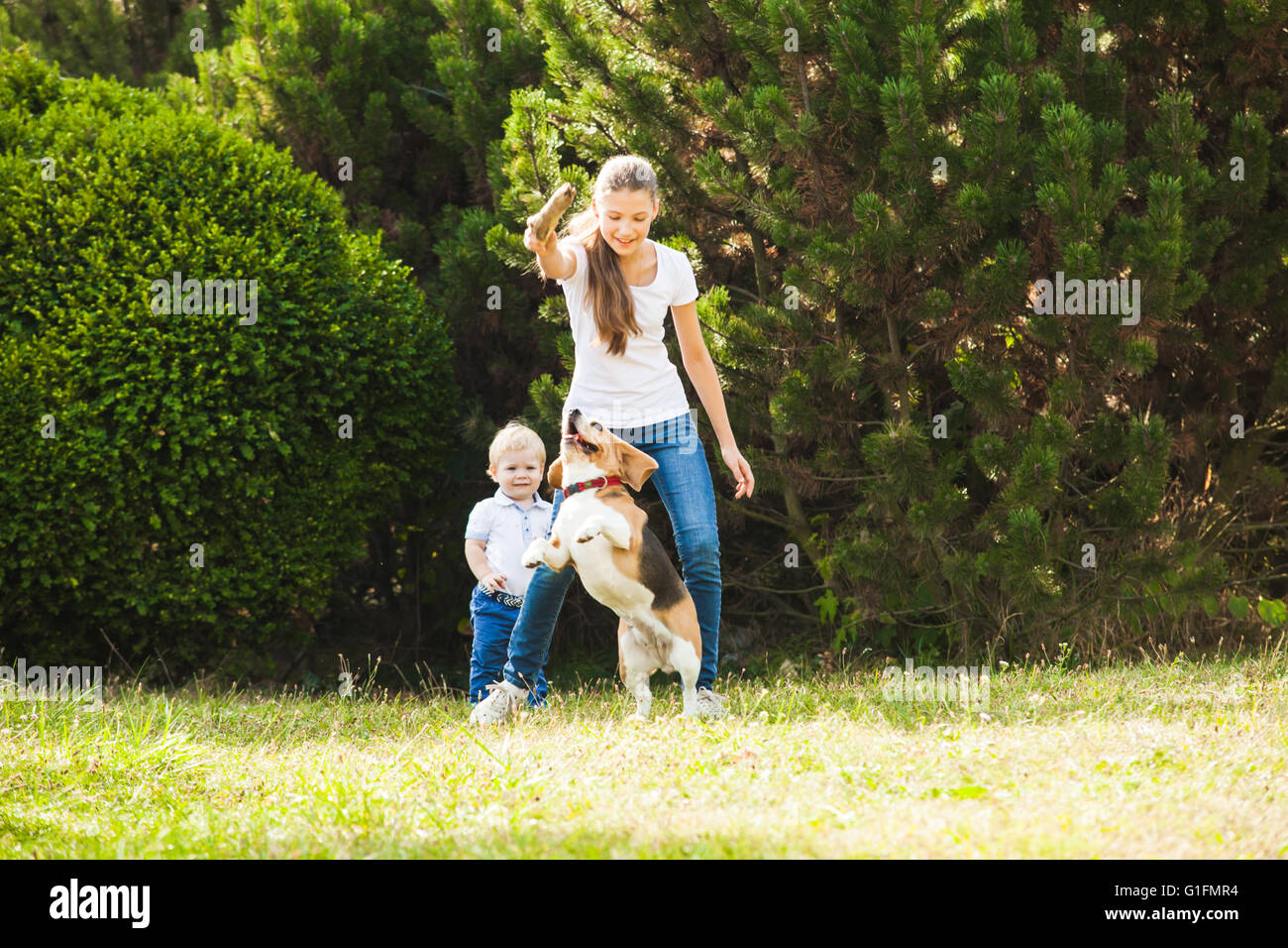 Girl plays with a dog in the yard Stock Photo - Alamy