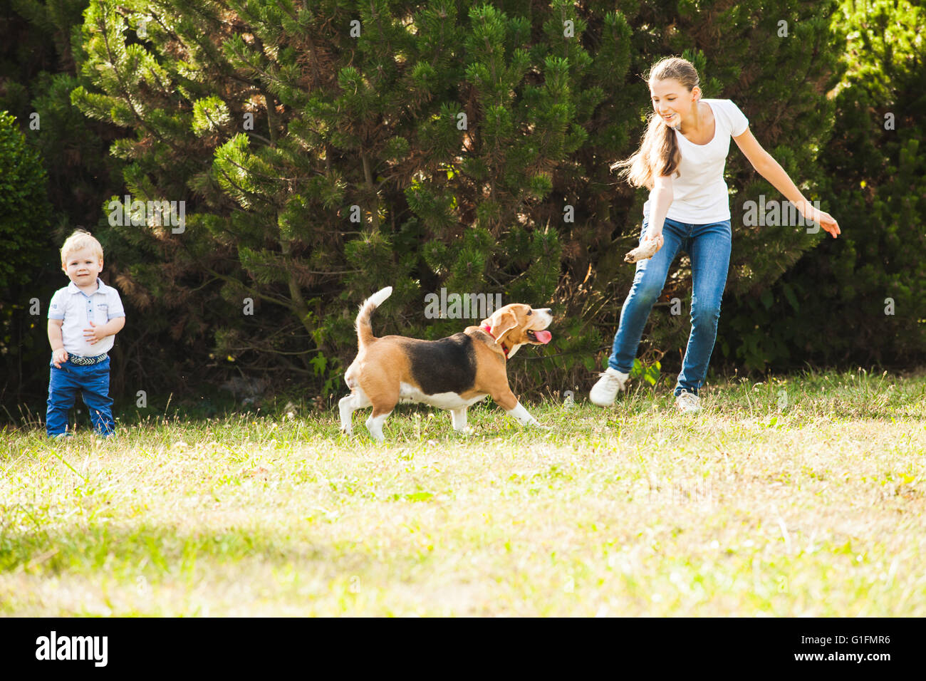 Girl plays with a dog in the yard Stock Photo - Alamy