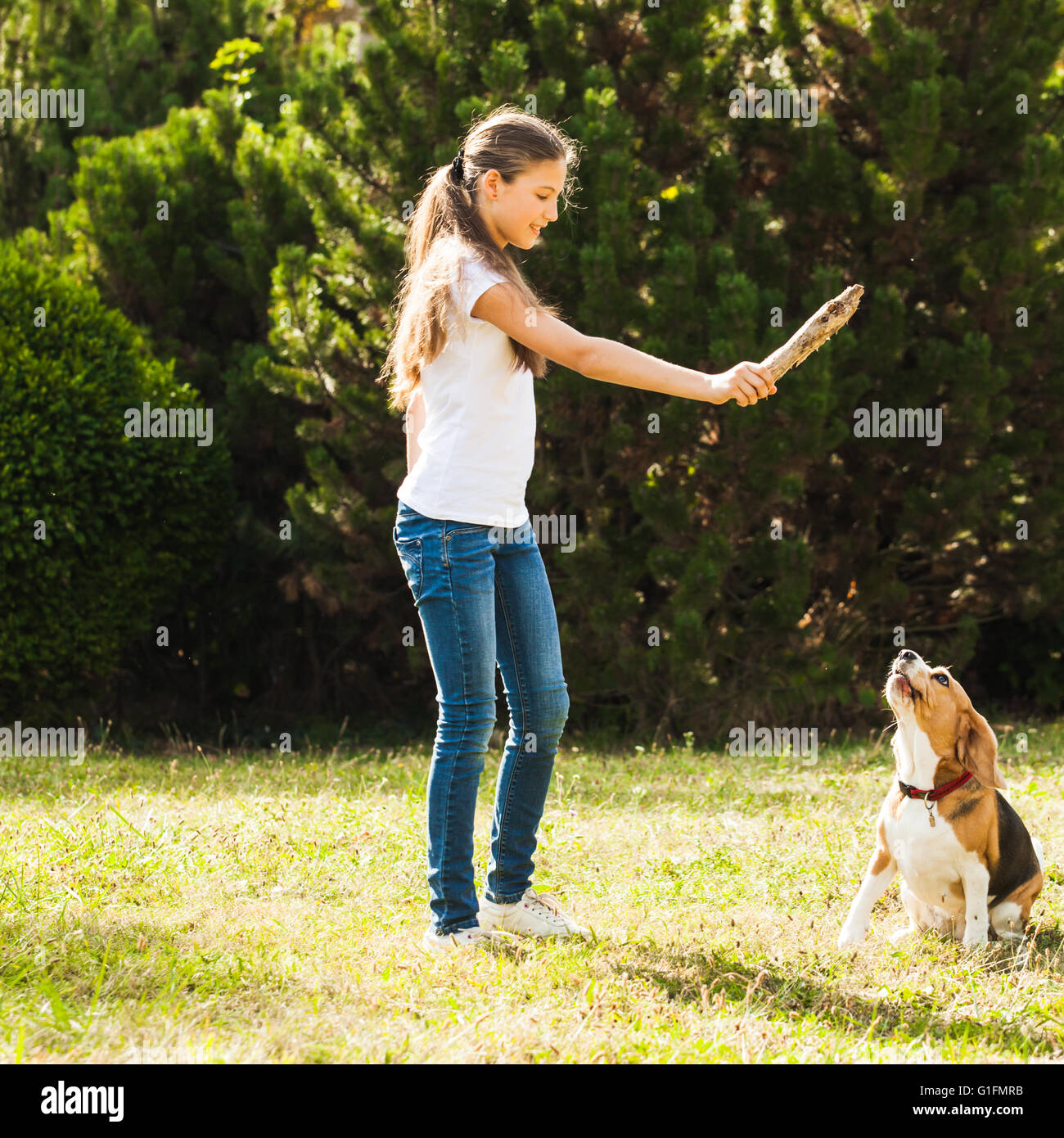 Girl plays with a dog in the yard Stock Photo - Alamy
